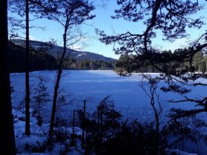 At long last we are slowly emerging from Narnia! The snow has been beautiful and