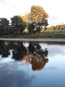 Autumn has arrived and we have several fisherman guests enjoying the beauty of t