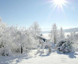 Christmas and New Year in Royal Deeside! We still have some availability so why